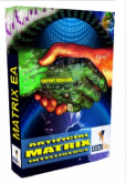 Matrix Artificial Intelligence Expert Advisor der Firma Deltafins Ltd. im Test - Bild 1.