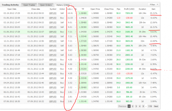 Forex Grid Trader EA von Forex Source Code im Test - Bild 4.