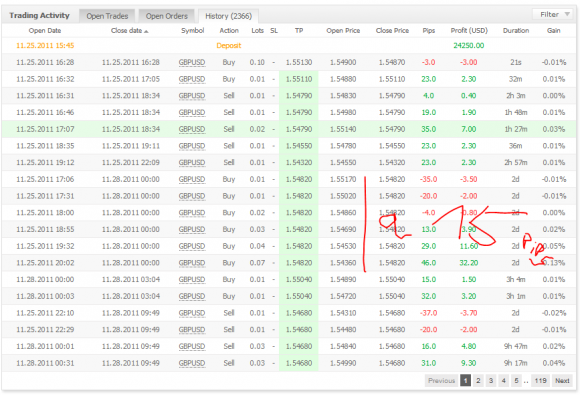 Forex Grid Trader EA von Forex Source Code im Test - Bild 2.