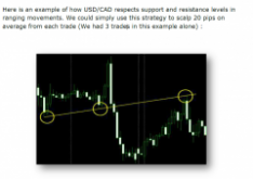 USDCAD das perfekte scalping Devisenpaaar für Pipjet EA Test Teil 2 - Bild 3.